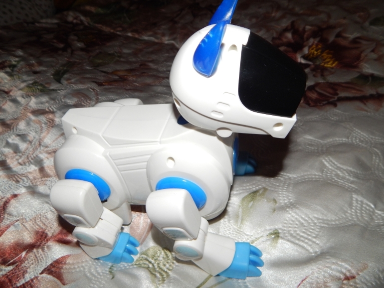 Я остаюсь жить в "Кораблике")))