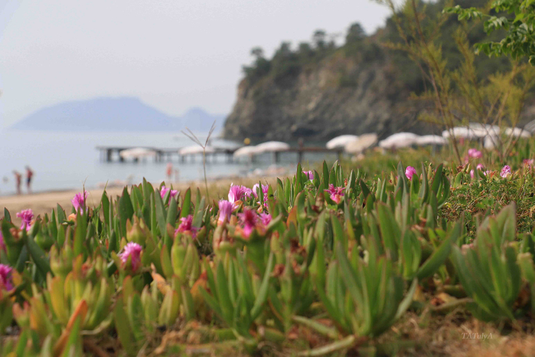 За отличным отдыхом в Amara Dolce Vita, Кемер.