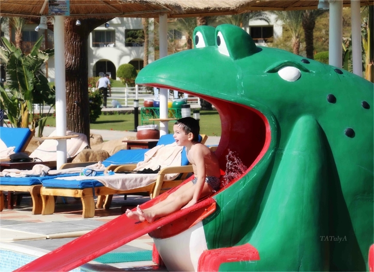 Наш неожиданный отдых в «Dana Beach» в Египте г. Хургада с 20.12-27.12.13