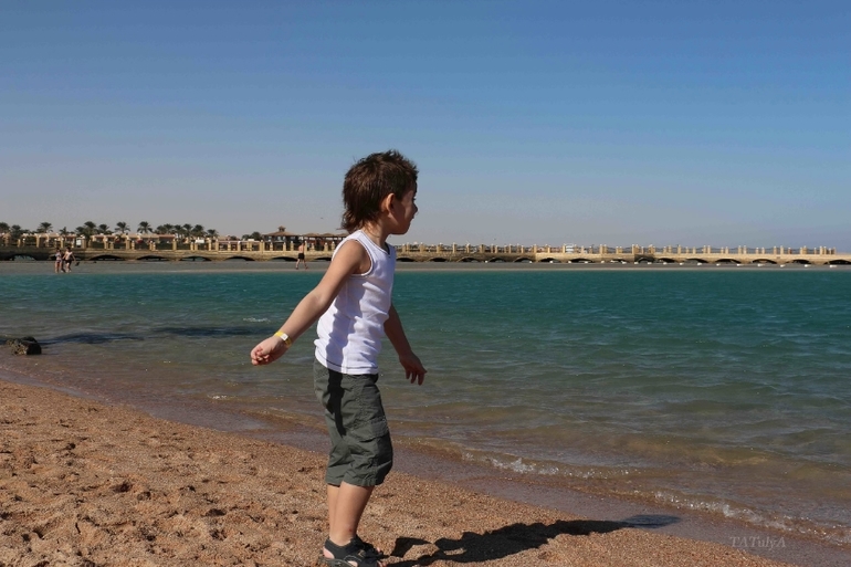 Наш неожиданный отдых в «Dana Beach» в Египте г. Хургада с 20.12-27.12.13