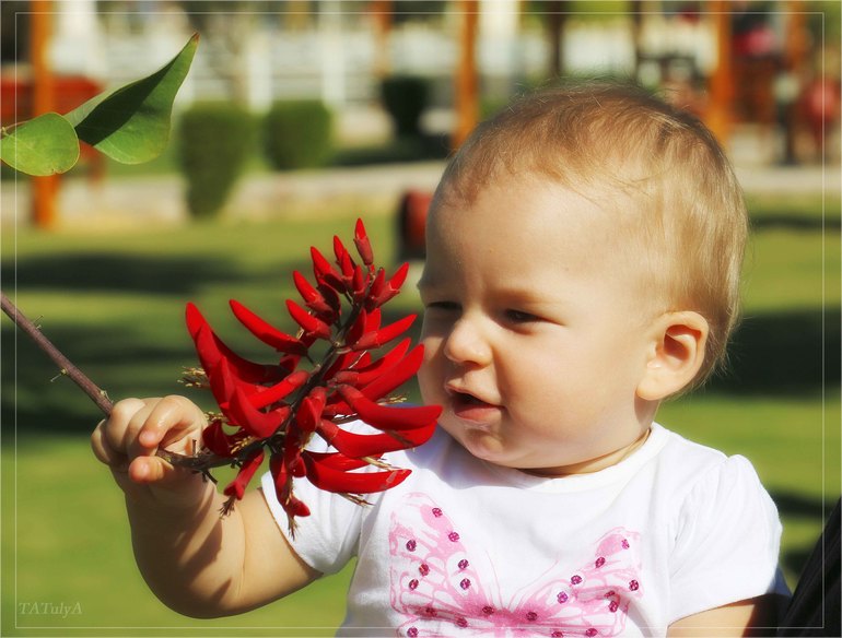 Наш неожиданный отдых в «Dana Beach» в Египте г. Хургада с 20.12-27.12.13