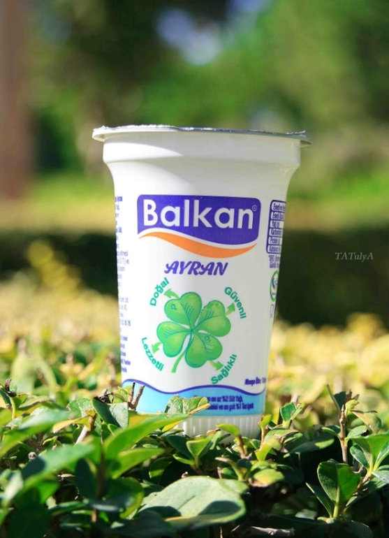 Отличный отдых в IC Green Palace, Турция, сентябрь 2013.