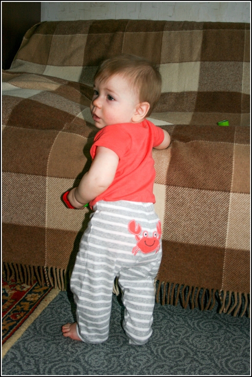 Крабики возвращаются!