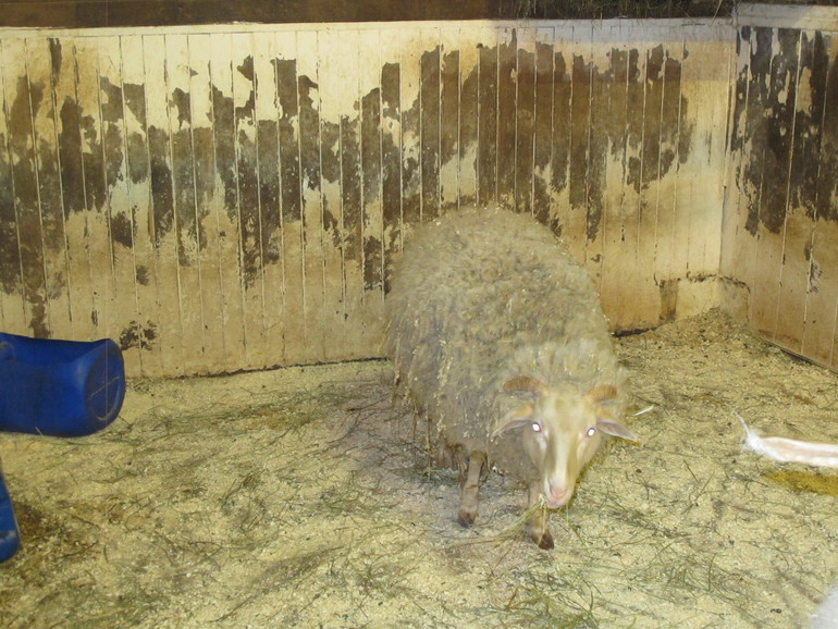 Зимние каникулы