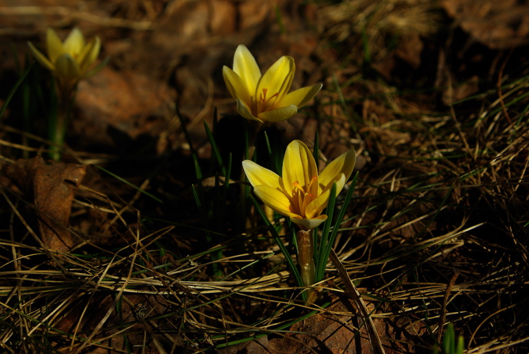 Поваровка 27.03.14