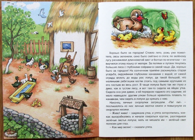 Тонкие книги издательства