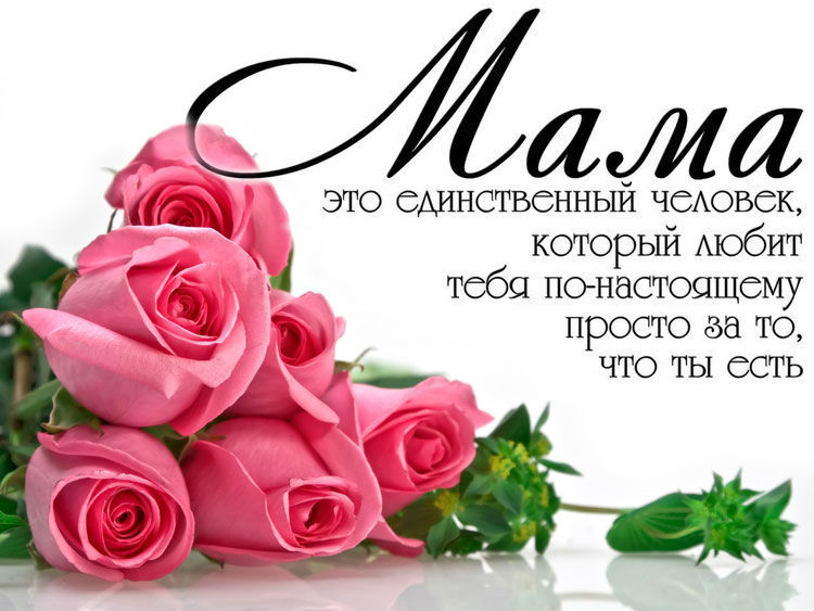 Сегодня один из главных семейных праздников — День матери.