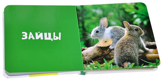 Новинки Клевера