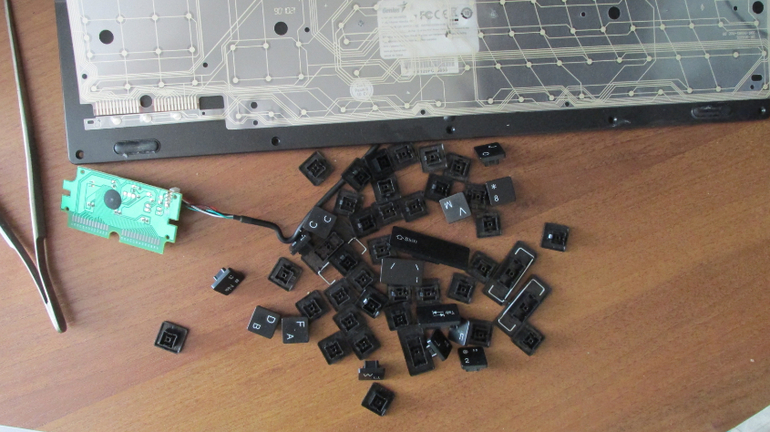 Похоже я её убила)))