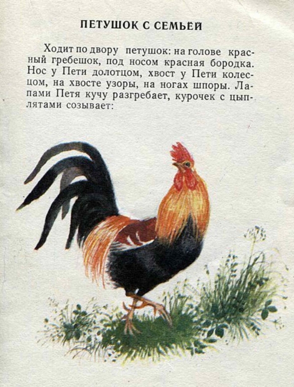 К.Ушинский: Бишка. Художник Н.Устинов