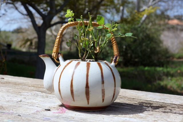 Кактус в сумке.