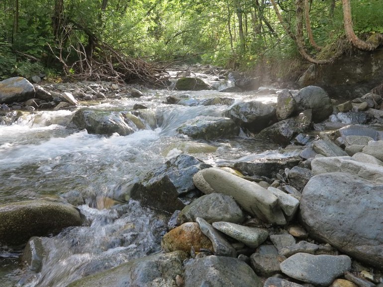 Камчатка - любовь моя. Осторожно, куча фото)