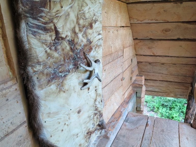 Камчатка - любовь моя. Осторожно, куча фото)