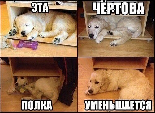 Ещё юмора