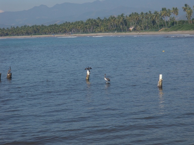 Курортники :)