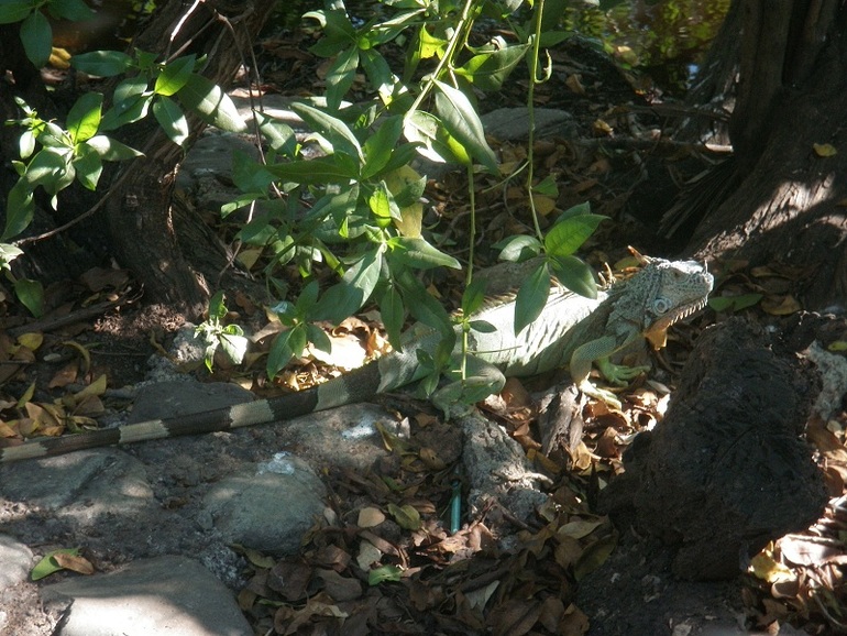 Курортники :)