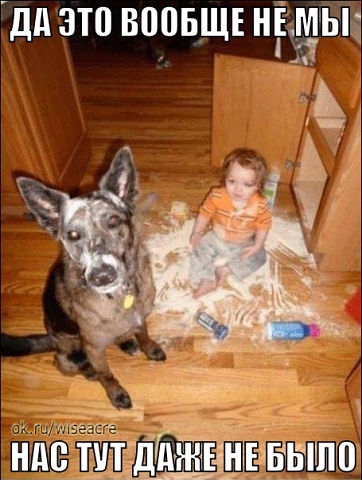 Немного позитива.