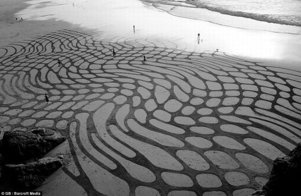 Как вам такая разновидность искусства?