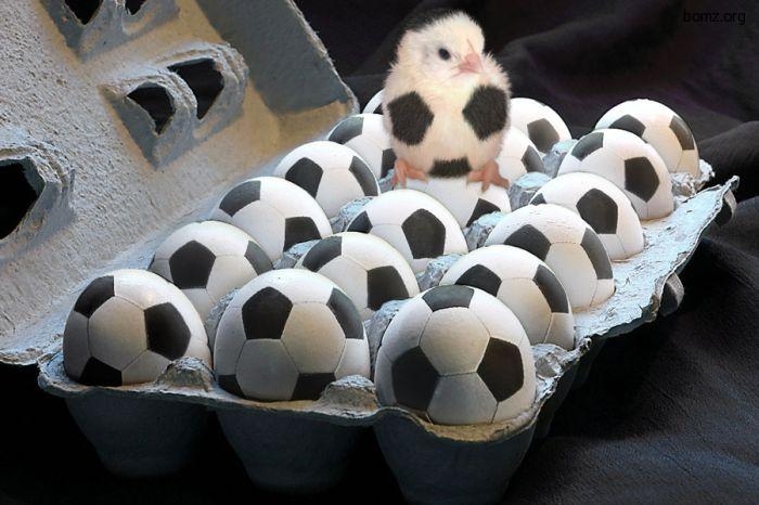 Себе настроение поднимай и о друзьях не забывай.