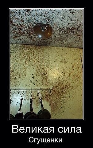 Порция пятничного позитива:)