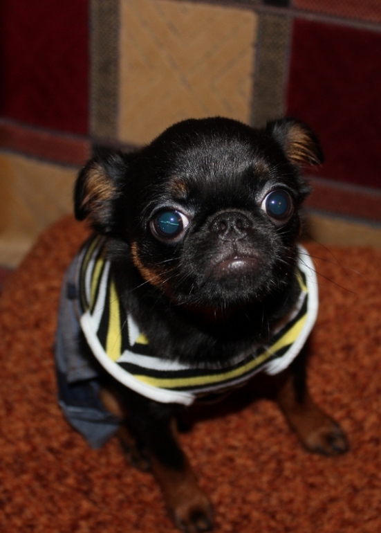 Бонифацию пол годика:)