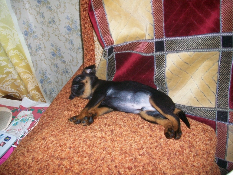 Бонифацию пол годика:)