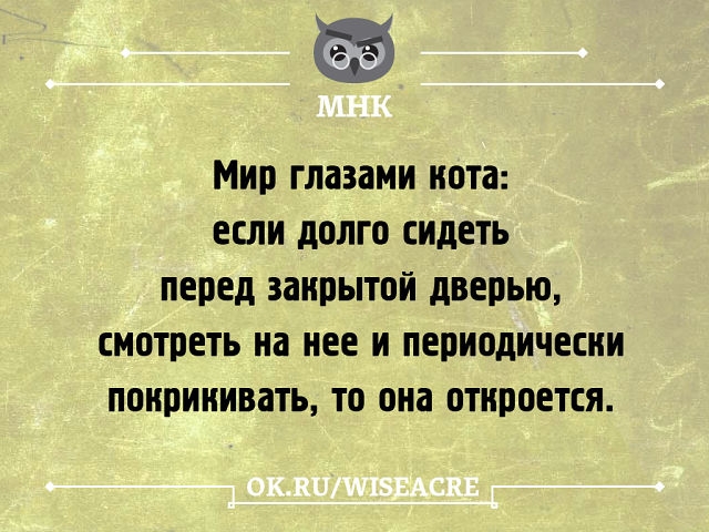 Немного позитива.