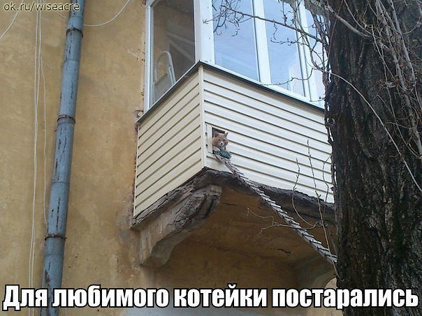 Немного позитива.