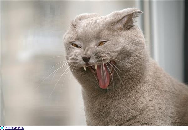 девочки давно не заходила!)АПЧХИИИИИИИИИИИИИИИИИИИИИИИИИИИИИИИИИИИИ