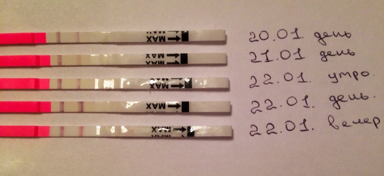 Это овуля?)))