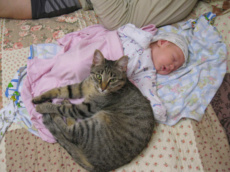 Пофоткала кисок!