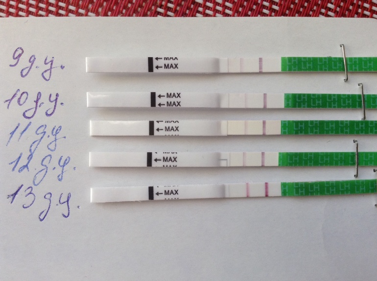 Есть или нет?