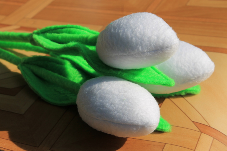 А у меня тюльпаны