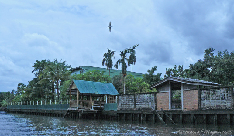 Контрольное задание № 21. "Применение инструмента Света/Тени (Shadow/Highlight)"