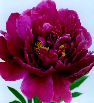 Хочу скорее лето!!!