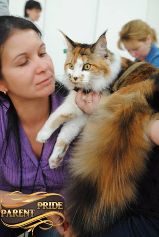 Итоги выставки " Содружество 2014" для Parent Pride