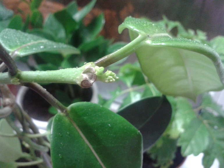 Хочет меня порадовать на 8 матра?)))