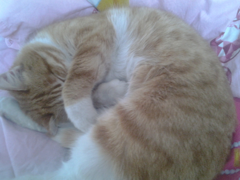 Кто не спрятался?