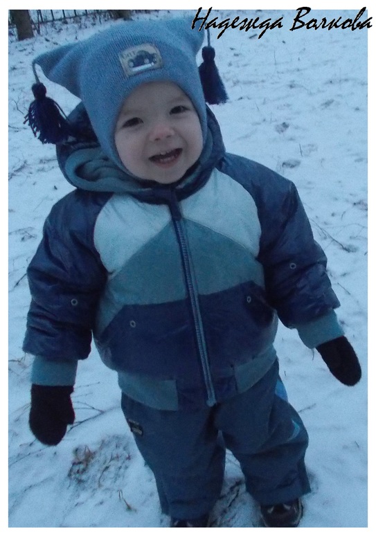 Серые шапули