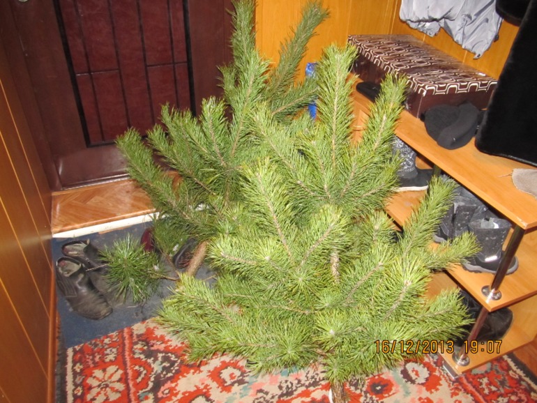 и вот она нарядная...