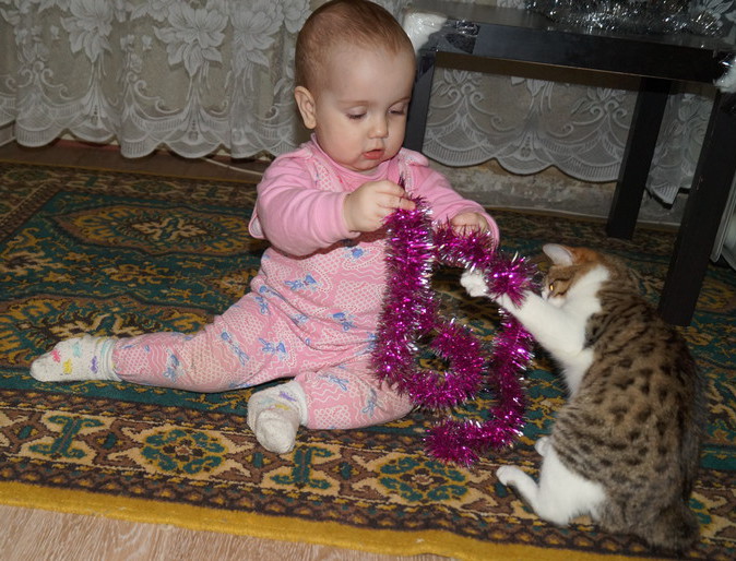год и месяц,фото