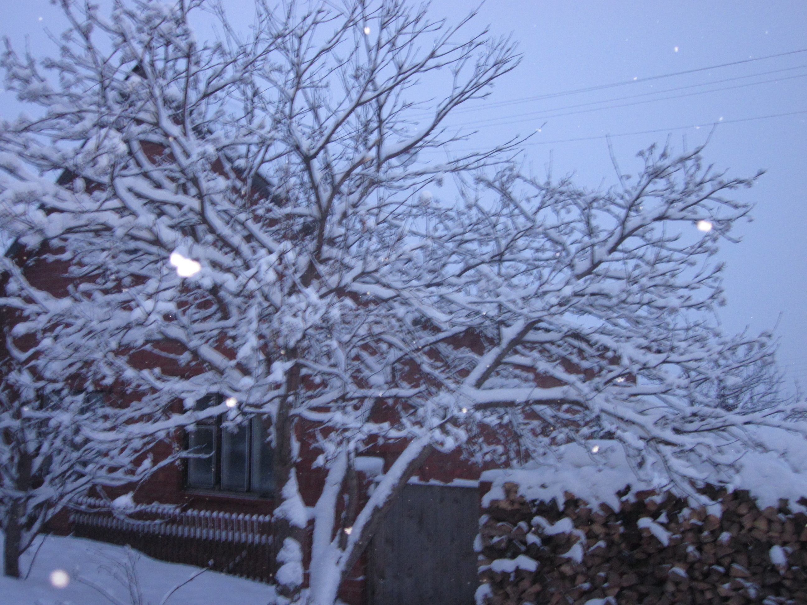 Вот токое 19 марта
