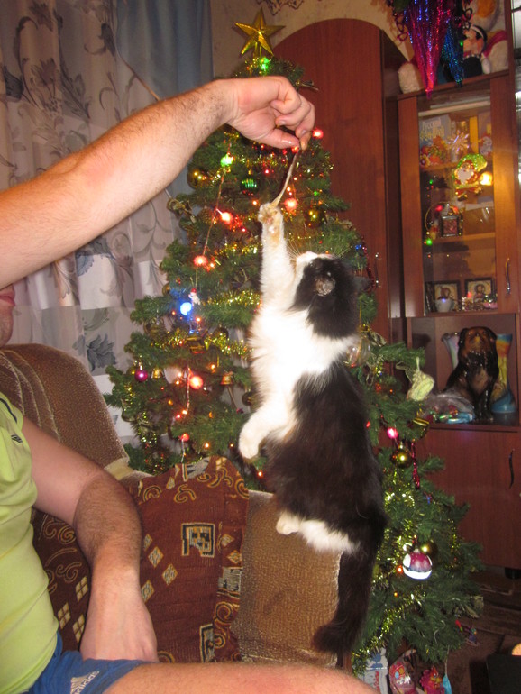 Немного новогоднего!