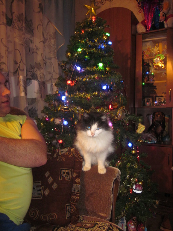 Немного новогоднего!