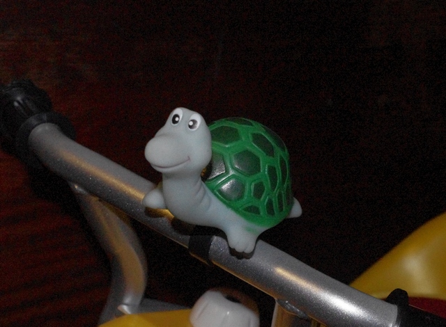 Мои живые фото.