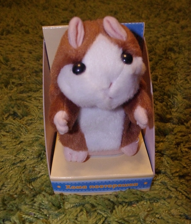 Мои живые фото.