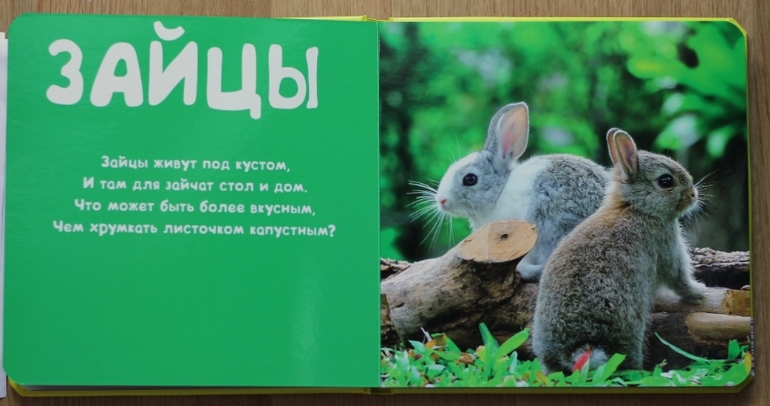 Отличные фотокнижки для малышей