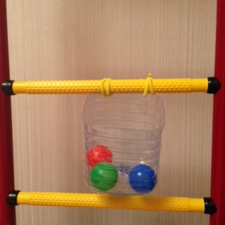 домашние животные ( отчет )