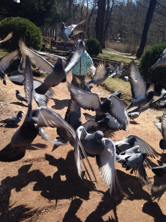 Фотопрогулки