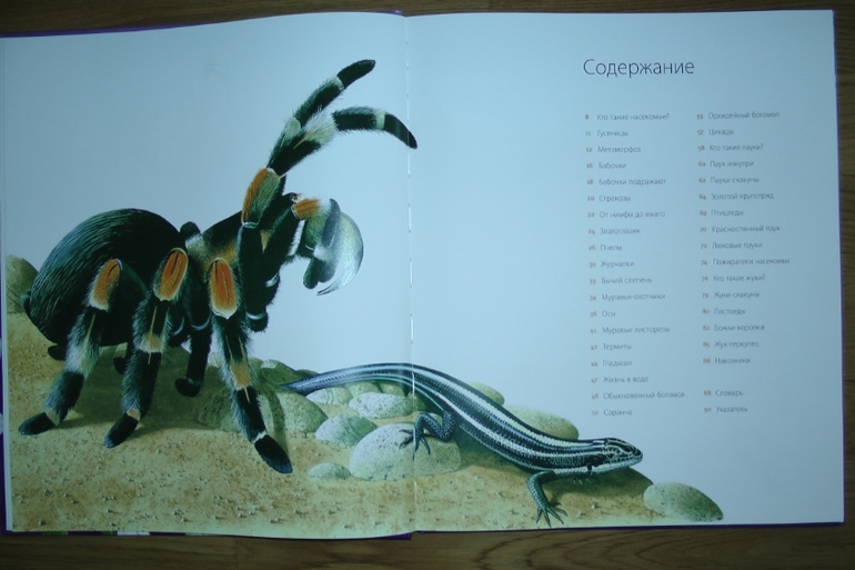 Первые летние приобретения: серьезные и не очень. Или: кто ищет - тот всегда найдет!!!